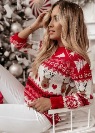 Women's Winter Round Neck Graphic Knit Sweater